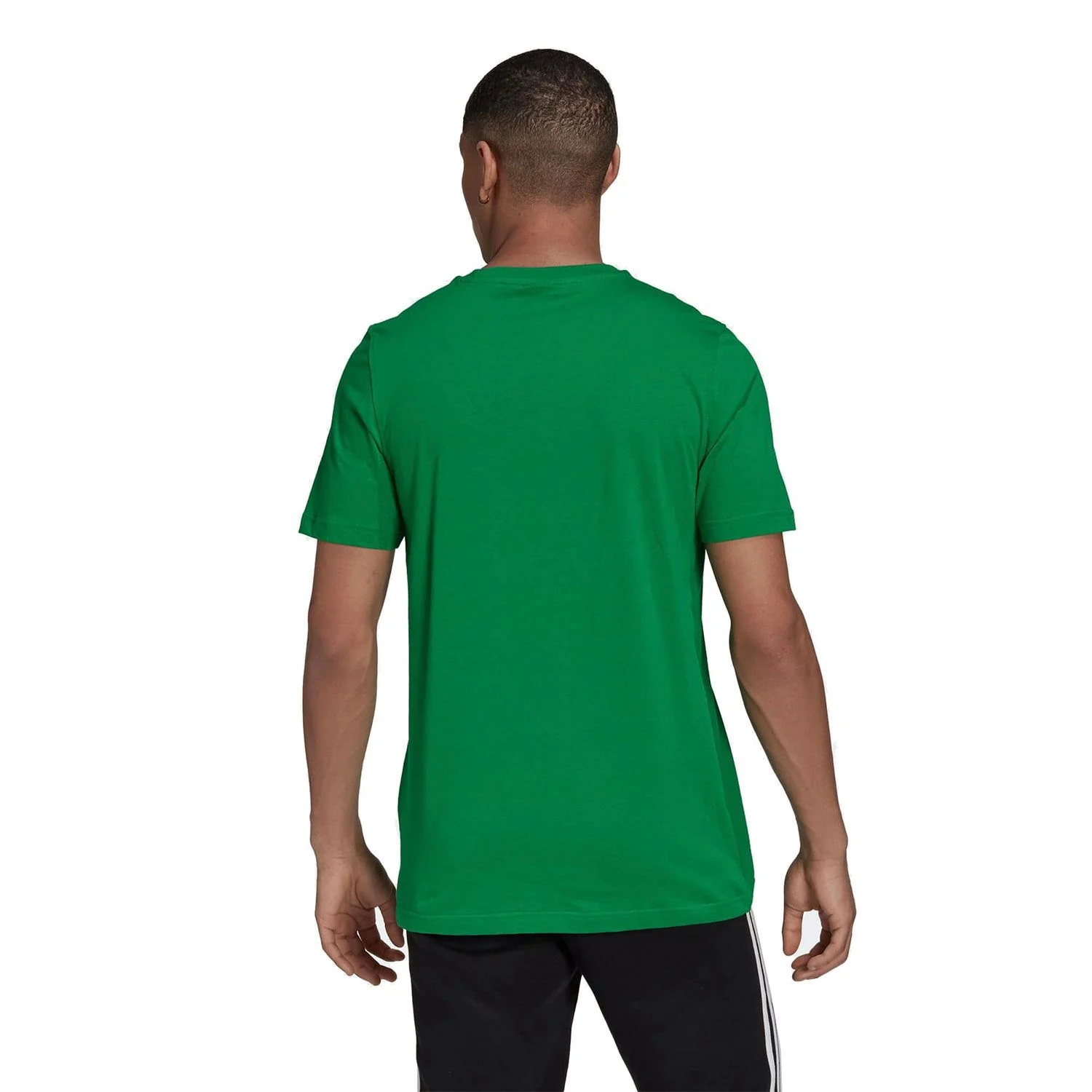 adidas Originals Adicolor Classics Trefoil T-Shirt - Green - Image 3