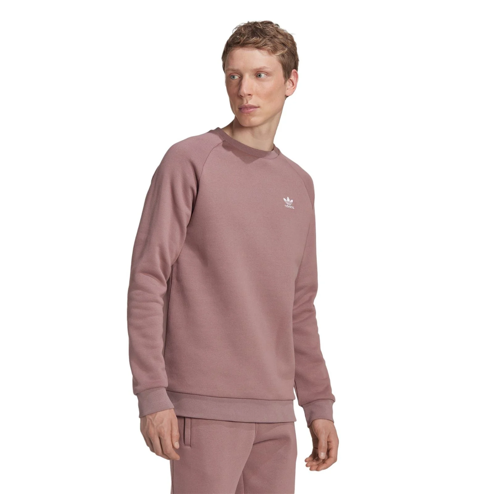 adidas Originals Adicolor Essentials Trefoil Crewneck Sweatshirt - Purple - Image 4
