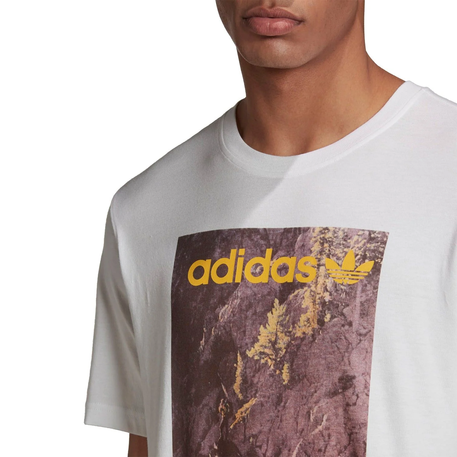 adidas Originals ADV Adventure T Shirt - White - Image 4