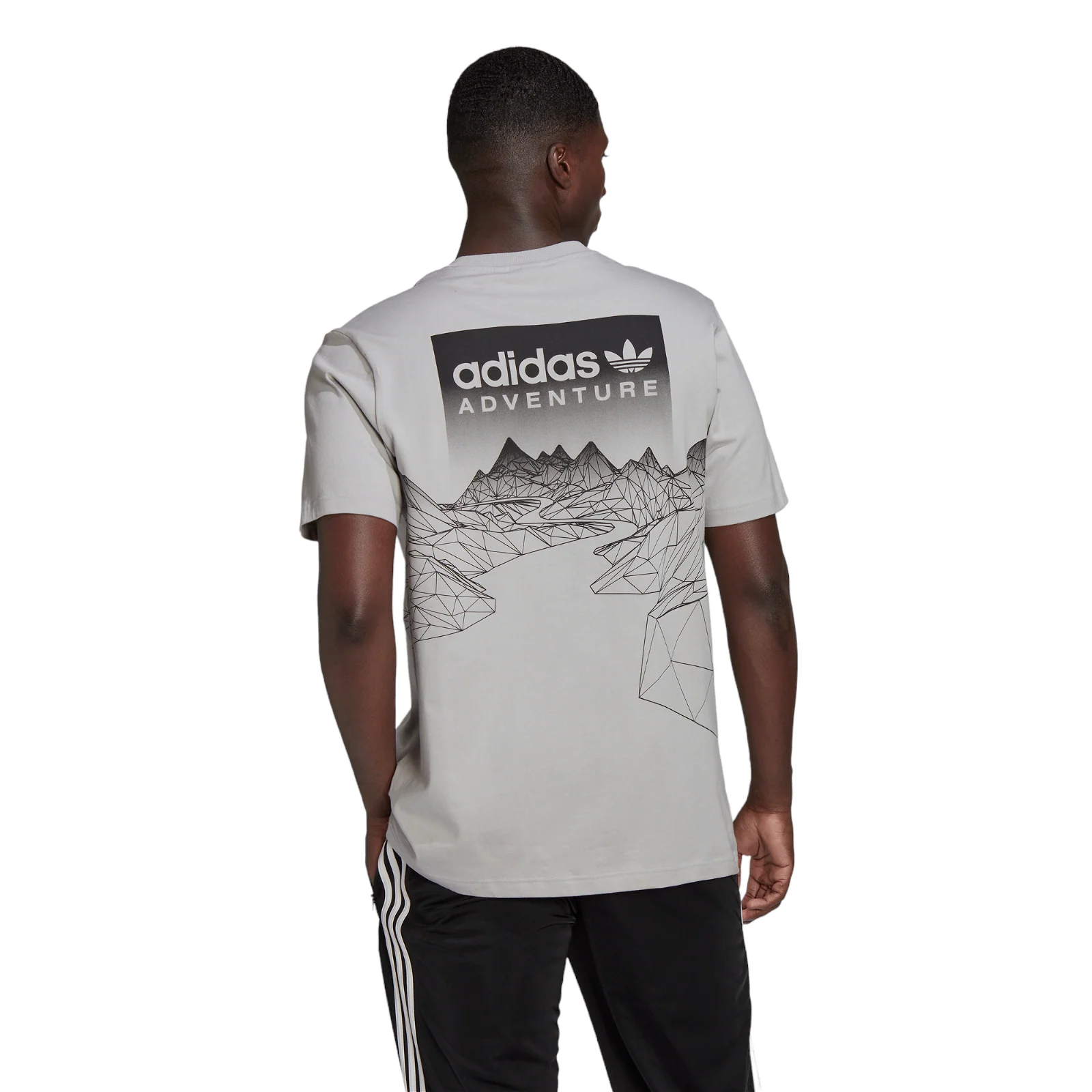 adidas Originals ADV Mountain T-Shirt - Grey Two