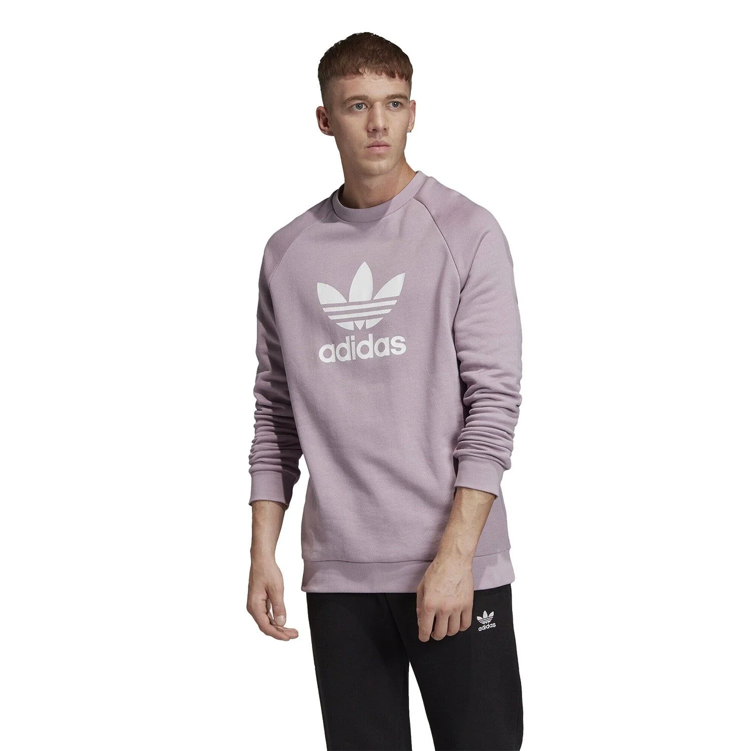 adidas Originals Trefoil Crew Sweatshirt - Soft Lilac - Image 3