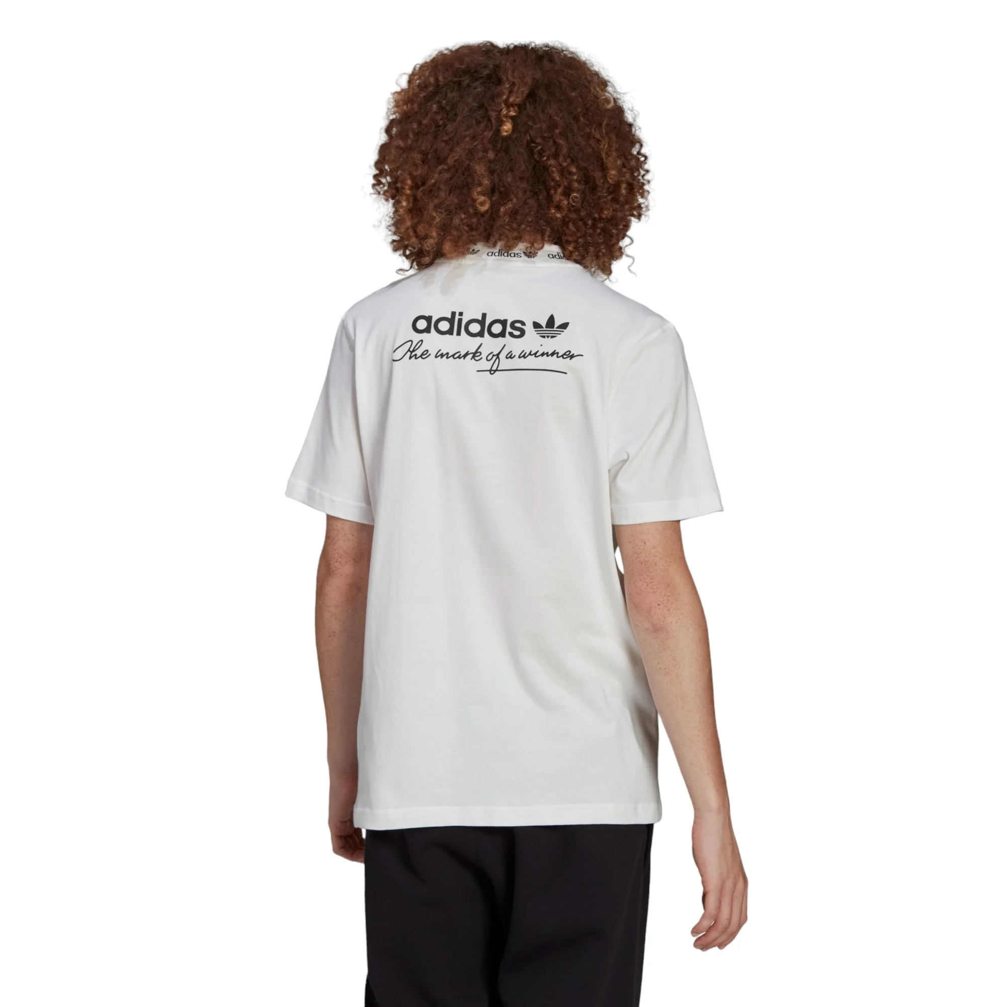 adidas Originals Trefoil Linear Tee - White - Image 5